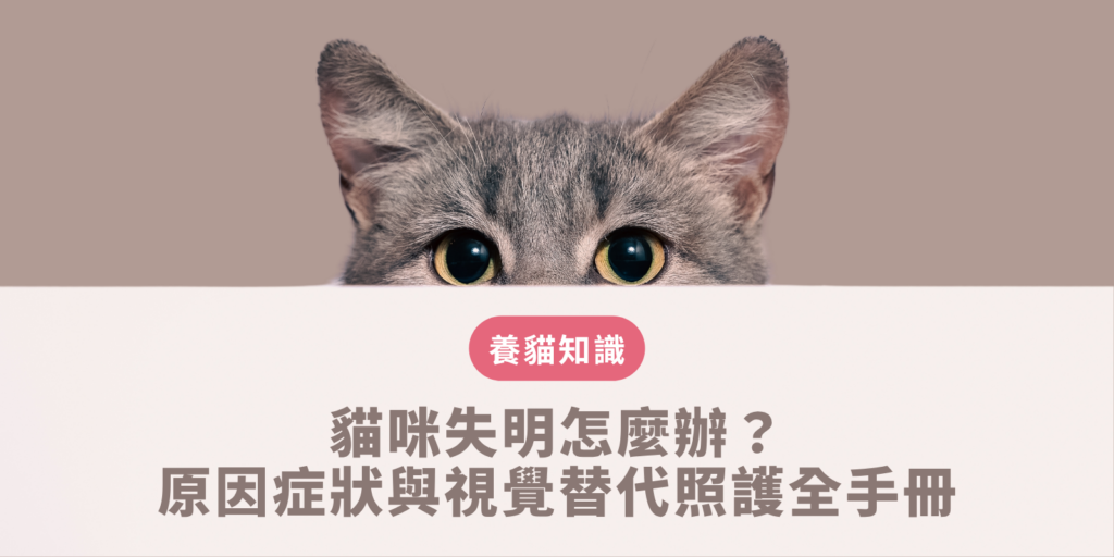貓咪失明