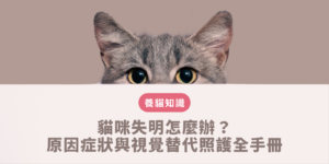 貓咪失明