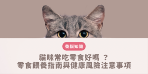 貓咪常吃零食好嗎