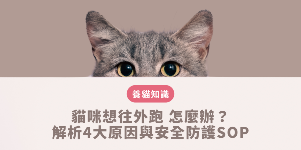 貓咪想往外跑