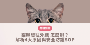 貓咪想往外跑