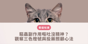 貓咪驅蟲副作用