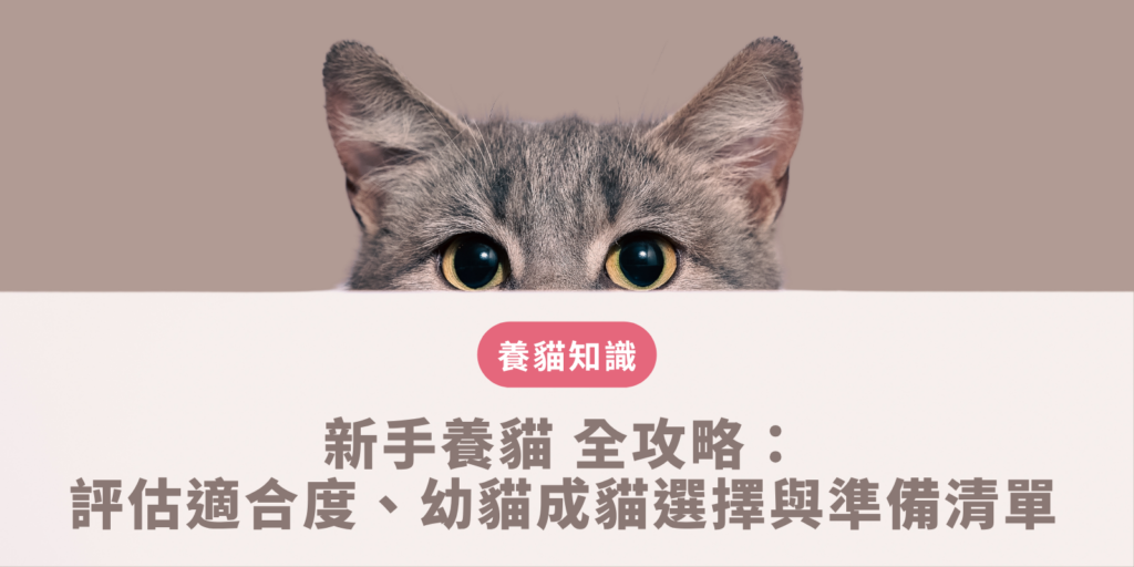 新手養貓