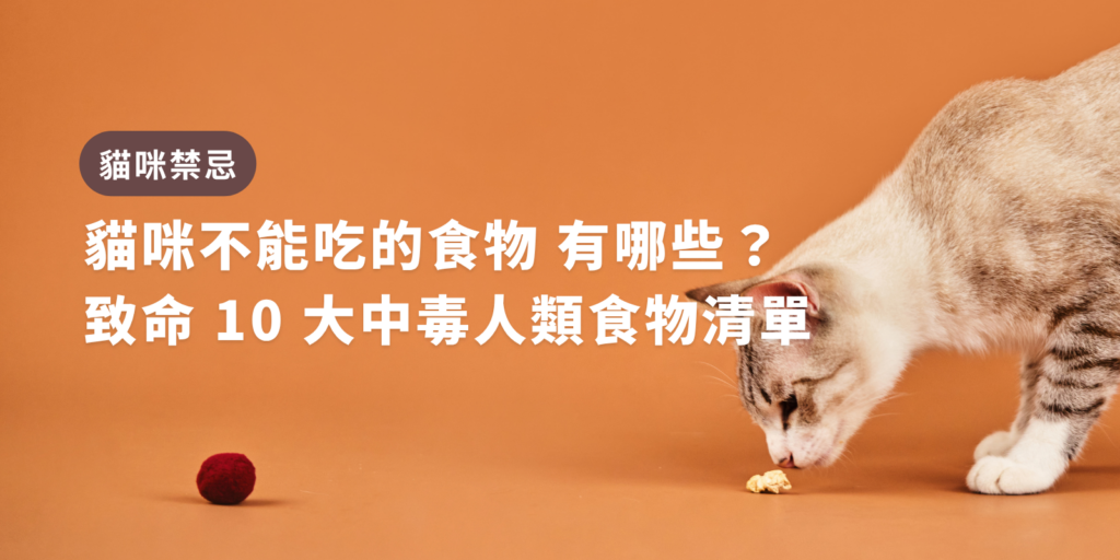 貓咪不能吃的食物
