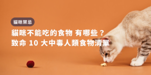 貓咪不能吃的食物