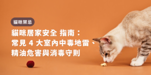 貓咪居家安全