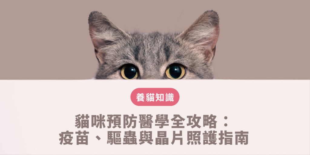 貓咪預防醫學