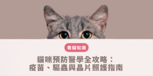 貓咪預防醫學