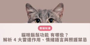 貓咪鬍鬚功能