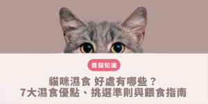 貓咪濕食