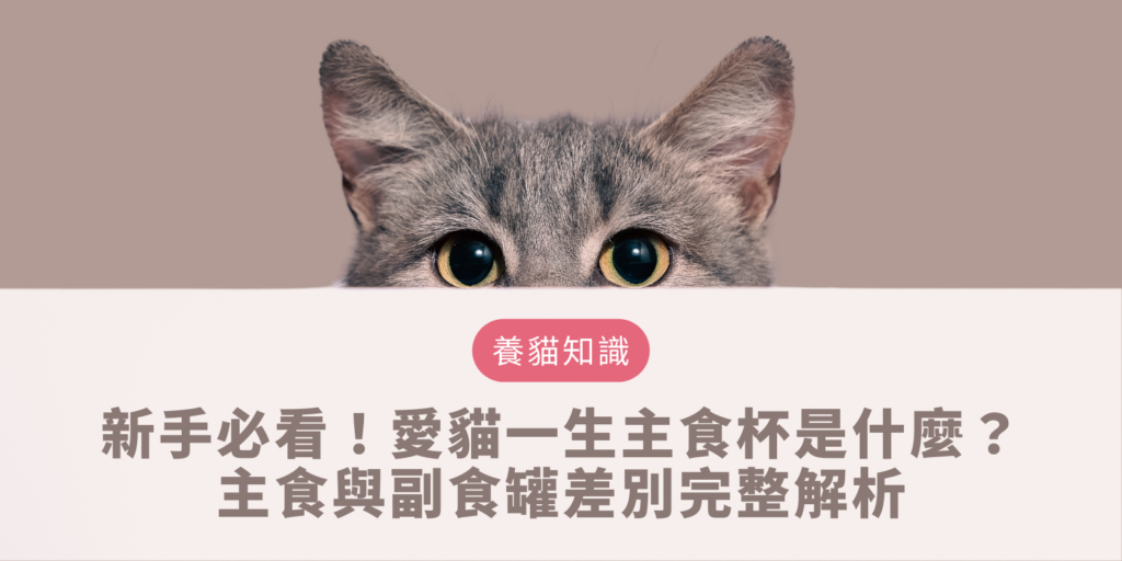 愛貓一生主食杯是什麼