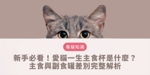 愛貓一生主食杯是什麼