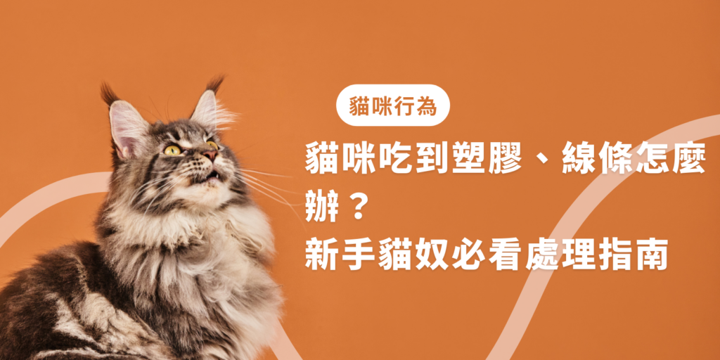 貓咪吃到塑膠