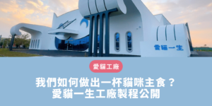 愛貓一生工廠製程