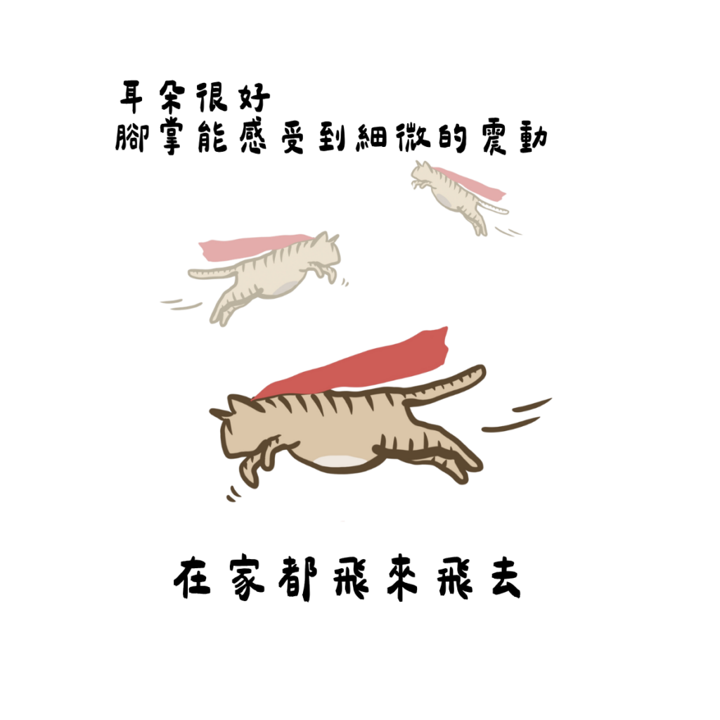 耳朵很好腳掌能感受到細微的震動