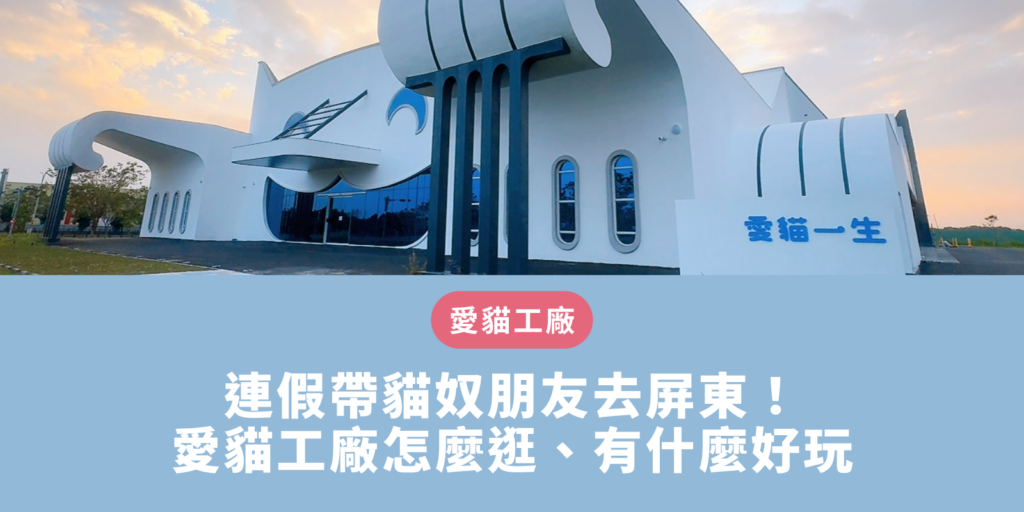 連假帶貓奴朋友去屏東！愛貓工廠怎麼逛、有什麼好玩