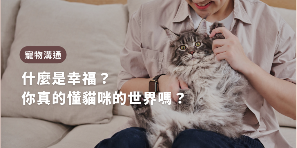 寵物溝通 什麼是幸福？你真的懂貓咪的世界嗎？
