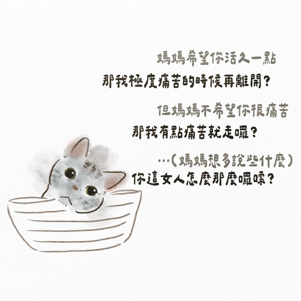 貓咪說媽媽希望你活久一點