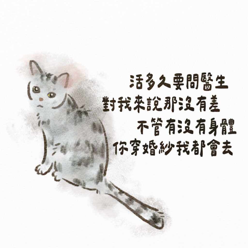貓咪說活多久要問醫生，對我來說那沒意義