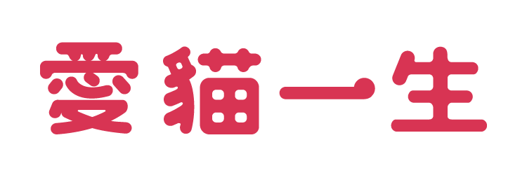 愛貓一生