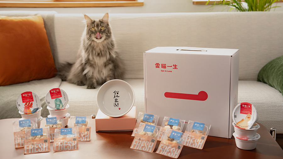 可愛貓咪想吃主食畫面