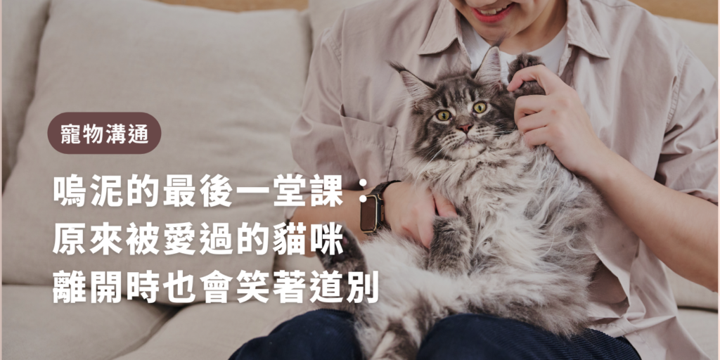 寵物溝通故事 嗚泥的最後一堂課：原來被愛過的貓咪，離開時也會笑著道別