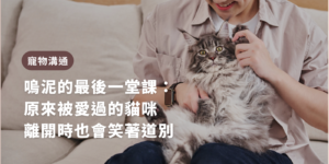 寵物溝通故事 嗚泥的最後一堂課：原來被愛過的貓咪，離開時也會笑著道別