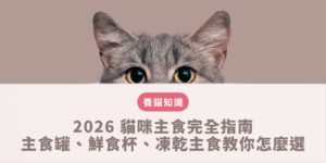 2026 貓咪主食完全指南：主食罐、鮮食杯、凍乾主食教你怎麼選
