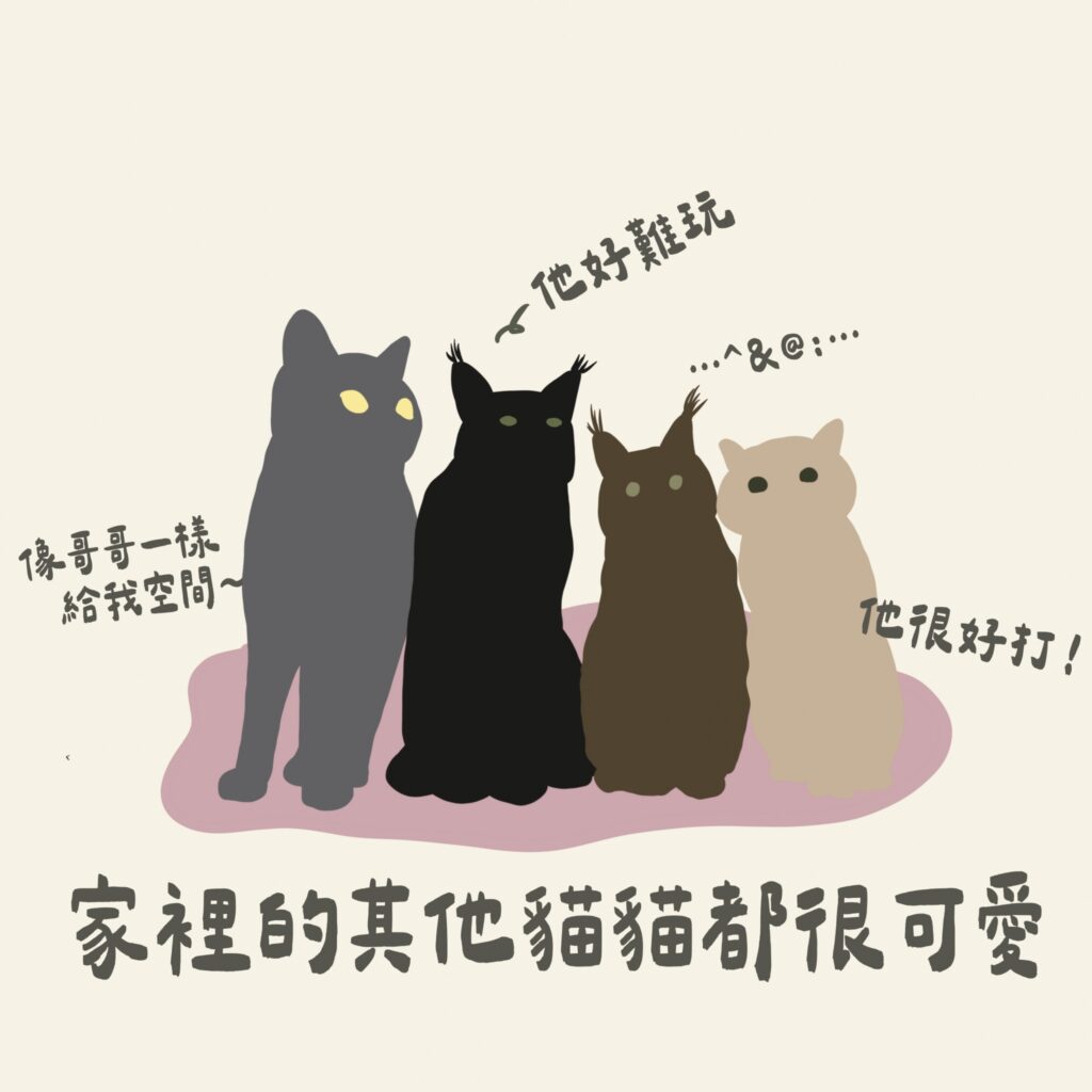 家裡的其他貓貓都很可愛