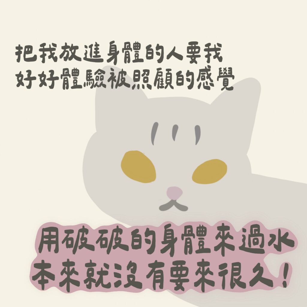 寵物溝通故事 把我放進身體的人要我好好體驗被照顧的感覺