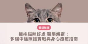 貓奴在家中溫柔抱著放鬆的貓咪，透過親密觸覺互動體驗擁抱貓咪好處並降低日常皮質醇壓力
