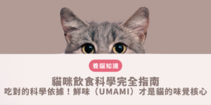 貓咪飲食 科學完全指南：吃對的科學依據！鮮味（umami）才是貓的味覺核心