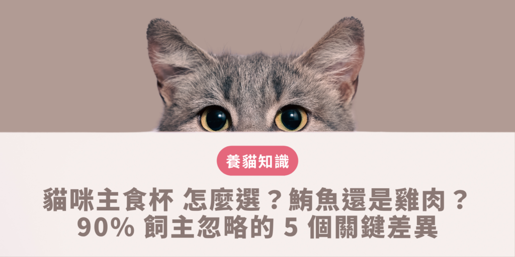 貓咪主食杯 怎麼選？鮪魚還是雞肉？90% 飼主忽略的 5 個關鍵差異