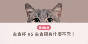 主食杯 vs主食罐有什麼不同