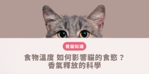 食物溫度 如何影響貓咪食慾