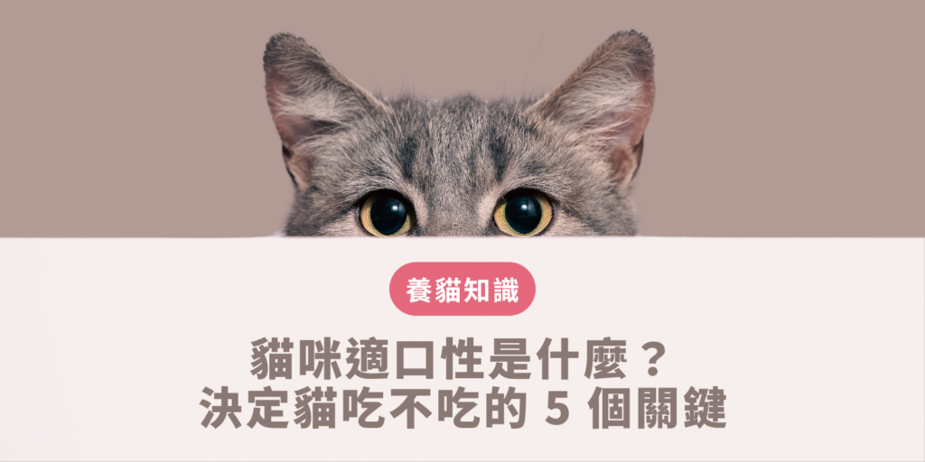 貓咪適口性是什麼？