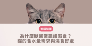 濕食