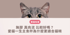 真肉泥
