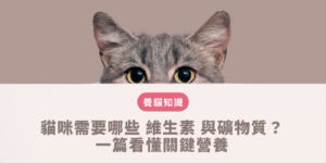 貓維生素