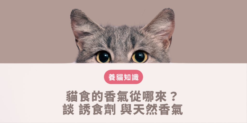 誘食劑