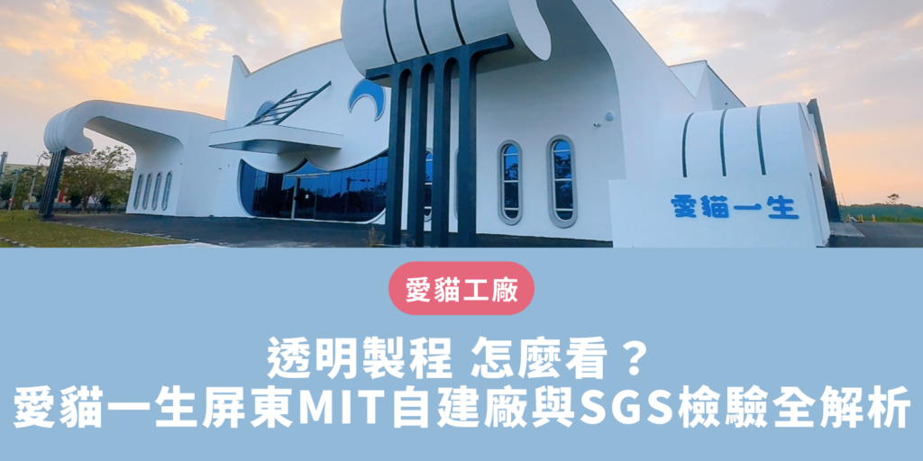 透明製程